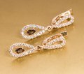 Серьги длинные С41009